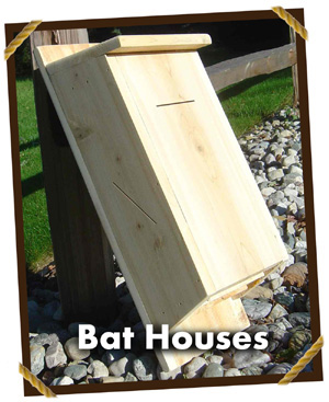 bat houses