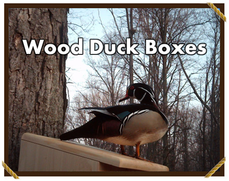 wood duck nest box